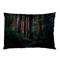 Forest Jungle Trees Tropics Pillow Case