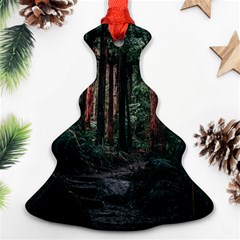 Forest Jungle Trees Tropics Ornament (christmas Tree) 