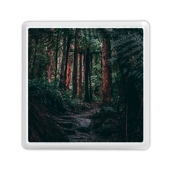 Forest Jungle Trees Tropics Memory Card Reader (square)