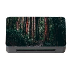 Forest Jungle Trees Tropics Memory Card Reader With Cf