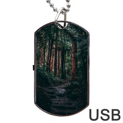 Forest Jungle Trees Tropics Dog Tag Usb Flash (one Side)