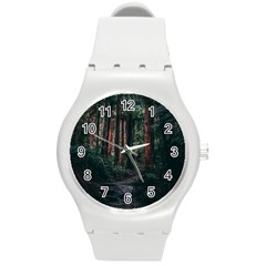 Forest Jungle Trees Tropics Round Plastic Sport Watch (m)