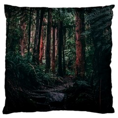 Forest Jungle Trees Tropics Large Cushion Case (one Side)