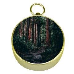 Forest Jungle Trees Tropics Gold Compasses