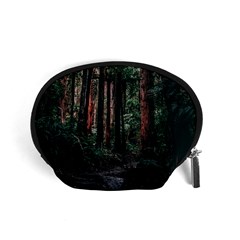 Forest Jungle Trees Tropics Accessory Pouch (small)