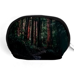 Forest Jungle Trees Tropics Accessory Pouch (medium)