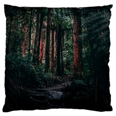 Forest Jungle Trees Tropics Standard Premium Plush Fleece Cushion Case (two Sides)