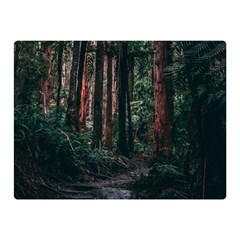 Forest Jungle Trees Tropics Two Sides Premium Plush Fleece Blanket (mini)