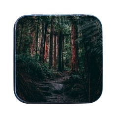 Forest Jungle Trees Tropics Square Metal Box (black)