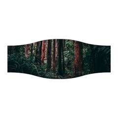 Forest Jungle Trees Tropics Stretchable Headband