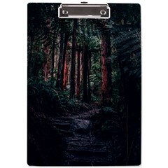 Forest Jungle Trees Tropics A4 Acrylic Clipboard