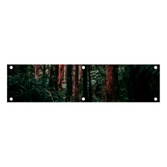 Forest Jungle Trees Tropics Banner And Sign 4  X 1 