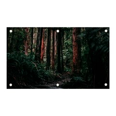 Forest Jungle Trees Tropics Banner And Sign 5  X 3 