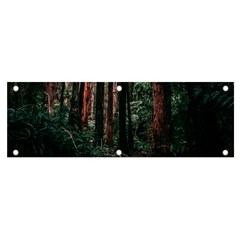 Forest Jungle Trees Tropics Banner And Sign 6  X 2 