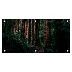 Forest Jungle Trees Tropics Banner And Sign 6  X 3 