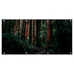 Forest Jungle Trees Tropics Banner And Sign 8  X 4 