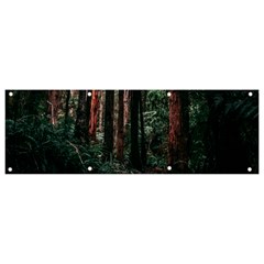 Forest Jungle Trees Tropics Banner And Sign 9  X 3 