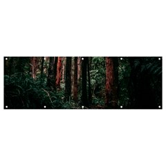 Forest Jungle Trees Tropics Banner And Sign 12  X 4 