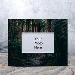 Forest Jungle Trees Tropics White Tabletop Photo Frame 4 x6 