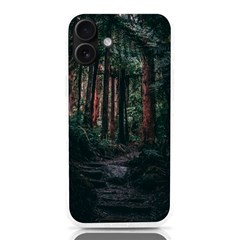 Forest Jungle Trees Tropics Iphone 16 Plus Tpu Uv Print Case