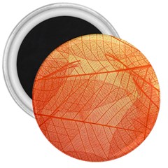 Abstract Texture Of Colorful Bright Pattern Of Transparent Leaves Of Orange And Yellow Color 3  Magnets