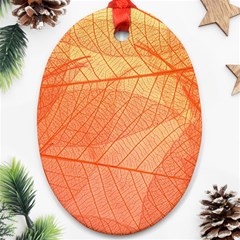 Abstract Texture Of Colorful Bright Pattern Of Transparent Leaves Of Orange And Yellow Color Ornament (oval) by Posterlux