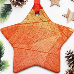 Abstract Texture Of Colorful Bright Pattern Of Transparent Leaves Of Orange And Yellow Color Ornament (star) by Posterlux