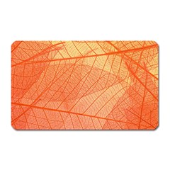 Abstract Texture Of Colorful Bright Pattern Of Transparent Leaves Of Orange And Yellow Color Magnet (rectangular) by Posterlux