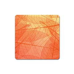 Abstract Texture Of Colorful Bright Pattern Of Transparent Leaves Of Orange And Yellow Color Square Magnet