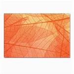 Abstract Texture Of Colorful Bright Pattern Of Transparent Leaves Of Orange And Yellow Color Postcard 4 x 6  (Pkg of 10) Front