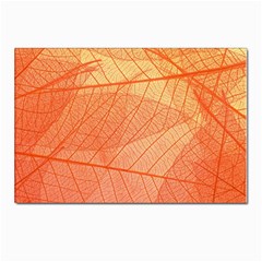 Abstract Texture Of Colorful Bright Pattern Of Transparent Leaves Of Orange And Yellow Color Postcards 5  X 7  (pkg Of 10) by Posterlux