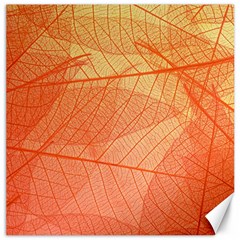 Abstract Texture Of Colorful Bright Pattern Of Transparent Leaves Of Orange And Yellow Color Canvas 20  X 20 