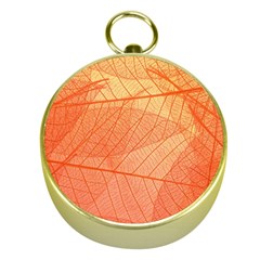 Abstract Texture Of Colorful Bright Pattern Of Transparent Leaves Of Orange And Yellow Color Gold Compasses by Posterlux