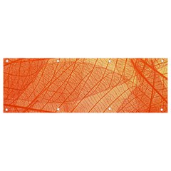 Abstract Texture Of Colorful Bright Pattern Of Transparent Leaves Of Orange And Yellow Color Banner And Sign 9  X 3 