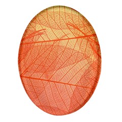 Abstract Texture Of Colorful Bright Pattern Of Transparent Leaves Of Orange And Yellow Color Oval Glass Fridge Magnet (4 Pack)