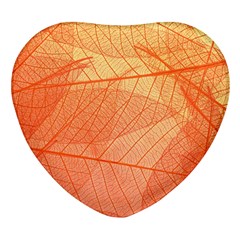 Abstract Texture Of Colorful Bright Pattern Of Transparent Leaves Of Orange And Yellow Color Heart Glass Fridge Magnet (4 Pack) by Posterlux