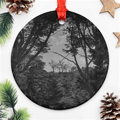 Patagonia Forest, Nahuel Huapi National Park, Rio Negro, Argentina Ornament (round)