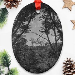 Patagonia Forest, Nahuel Huapi National Park, Rio Negro, Argentina Ornament (oval)