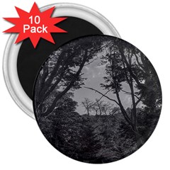 Patagonia Forest, Nahuel Huapi National Park, Rio Negro, Argentina 3  Magnets (10 Pack) 