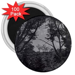 Patagonia Forest, Nahuel Huapi National Park, Rio Negro, Argentina 3  Magnets (100 Pack)