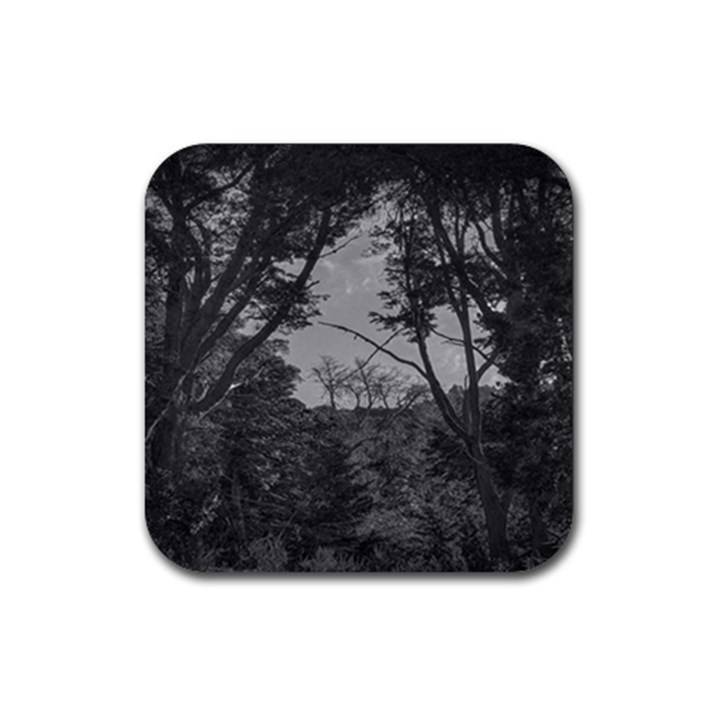 Patagonia Forest, Nahuel Huapi National Park, Rio Negro, Argentina Rubber Coaster (Square)