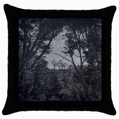 Patagonia Forest, Nahuel Huapi National Park, Rio Negro, Argentina Throw Pillow Case (black)