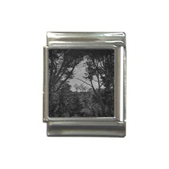 Patagonia Forest, Nahuel Huapi National Park, Rio Negro, Argentina Italian Charm (13mm)