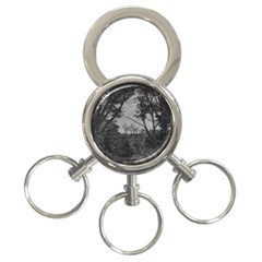 Patagonia Forest, Nahuel Huapi National Park, Rio Negro, Argentina 3-ring Key Chain