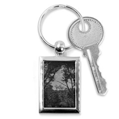 Patagonia Forest, Nahuel Huapi National Park, Rio Negro, Argentina Key Chain (rectangle)