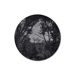 Patagonia Forest, Nahuel Huapi National Park, Rio Negro, Argentina Rubber Round Coaster (4 Pack)