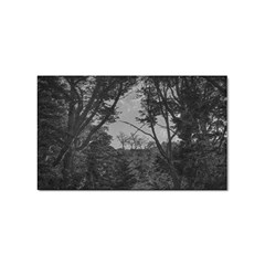 Patagonia Forest, Nahuel Huapi National Park, Rio Negro, Argentina Sticker (rectangular)