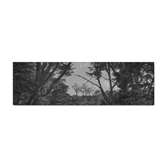 Patagonia Forest, Nahuel Huapi National Park, Rio Negro, Argentina Sticker (bumper)