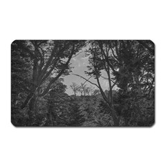 Patagonia Forest, Nahuel Huapi National Park, Rio Negro, Argentina Magnet (rectangular)