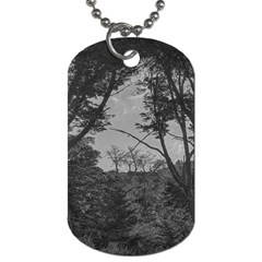 Patagonia Forest, Nahuel Huapi National Park, Rio Negro, Argentina Dog Tag (one Side)